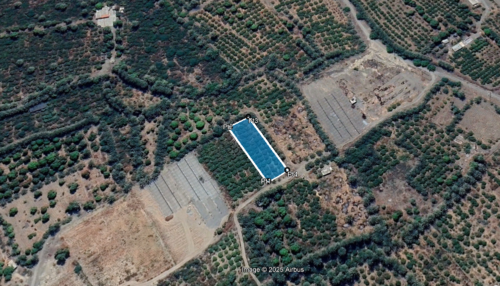 محسن کمالی_گلخانه